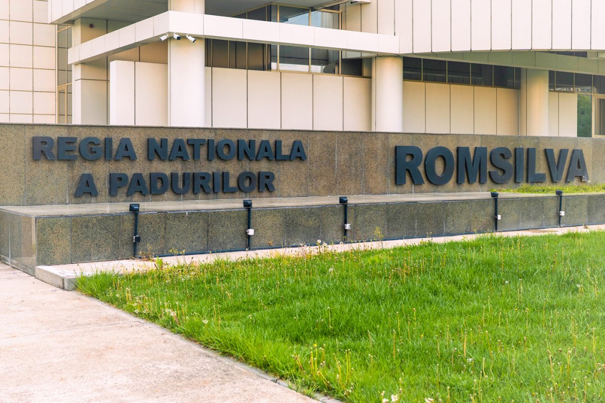 Precizări ale Romsilva în urma raportului de audit al Curții de Conturi