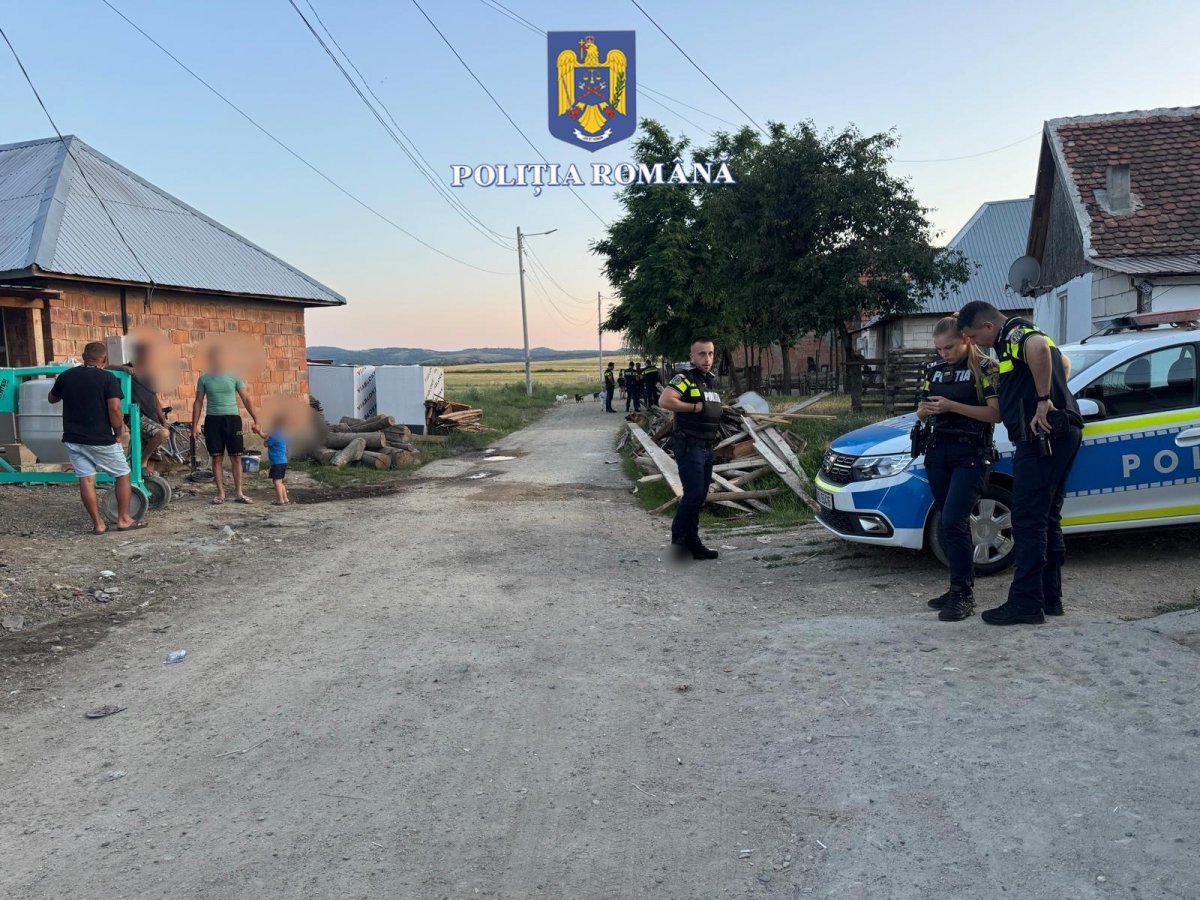 Razie de amploare în zona Sebiș