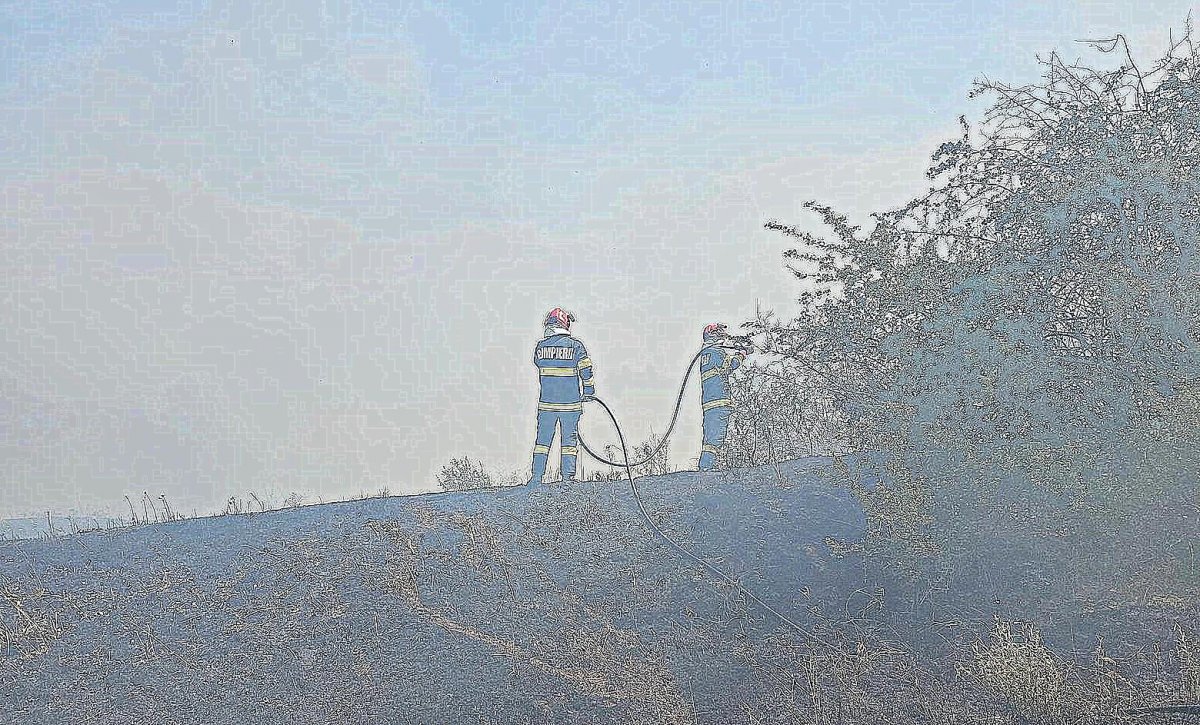 Pompierii arădeni în acțiune