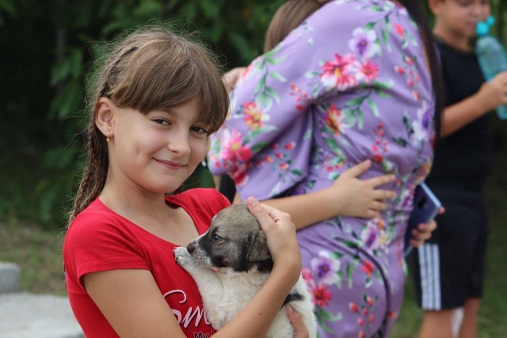 Târg de adopție canină, la Open Boulevard
