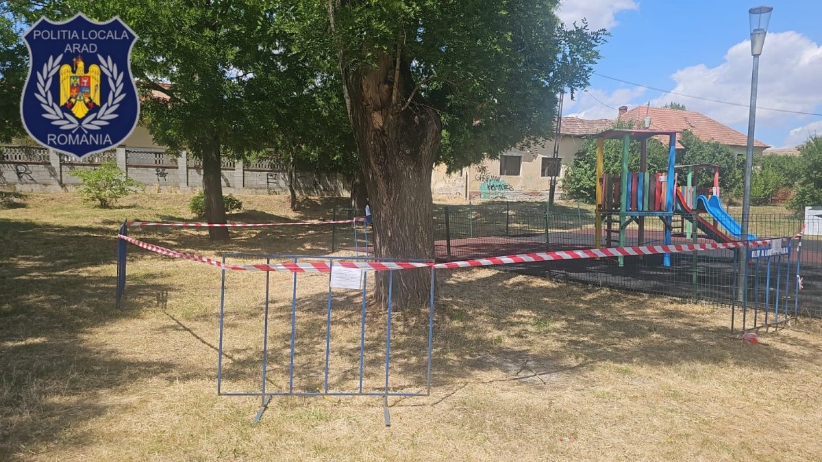 Roi de albine lângă un loc de joacă și o grădiniță din municipiu; ce a făcut Poliția Locală