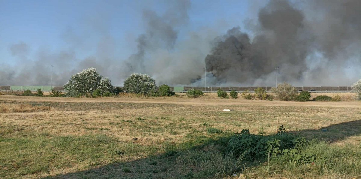 Un incendiu la vegetația uscată a izbucnit în zona Alfa