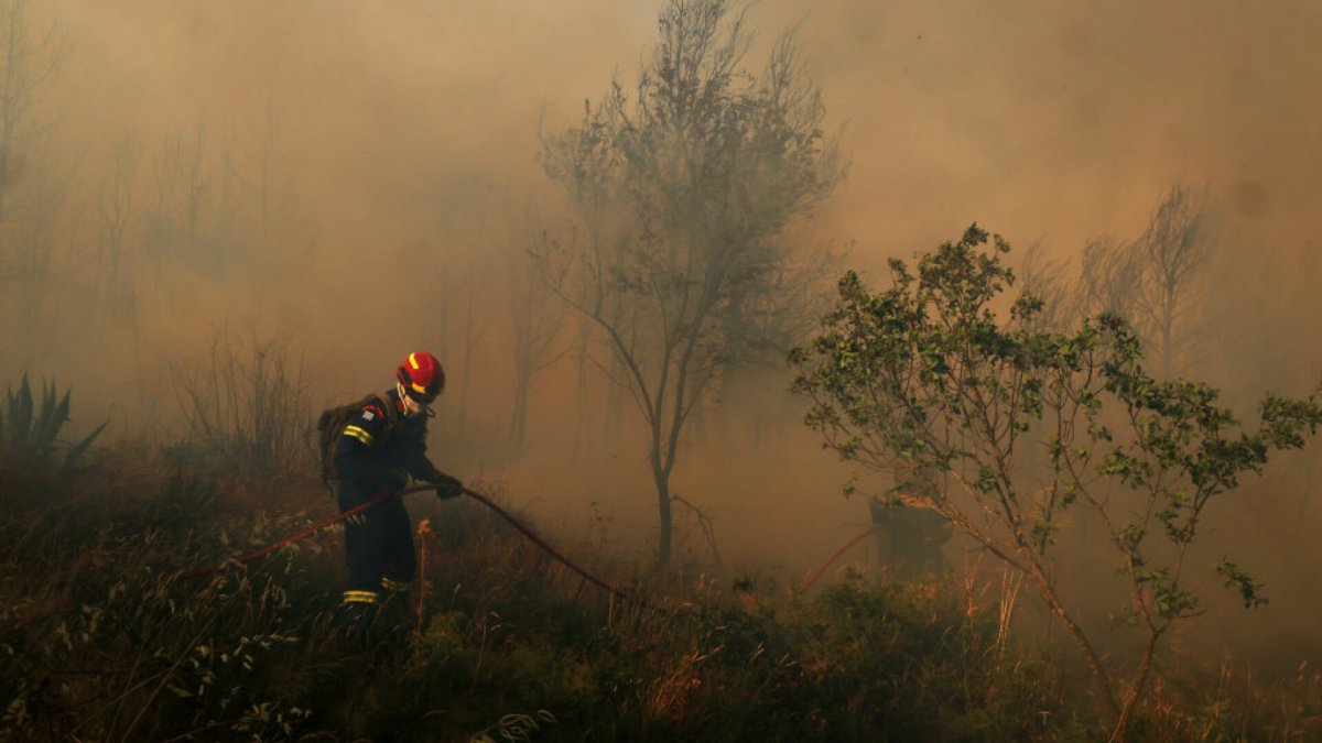 Incendiu de vegetație pe insula Thassos, Grecia: Turiști în alertă!