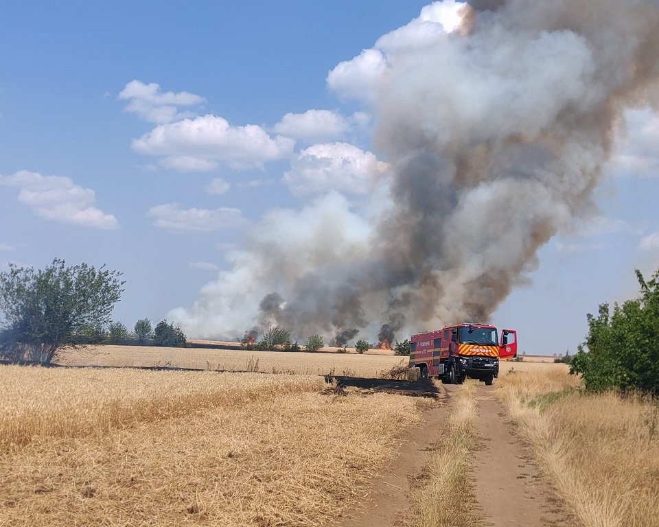 Incendiu izbucnit la un lan de grâu la ieșirea din municipiul Arad spre Pecica