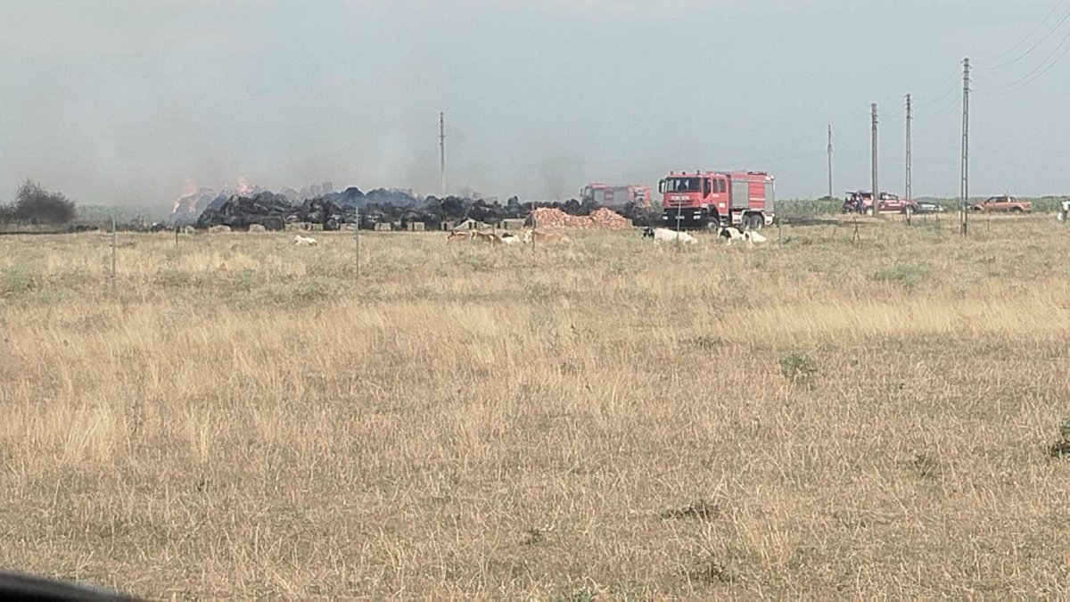 Incendiu violent la baloți de paie și saivan în Zerind