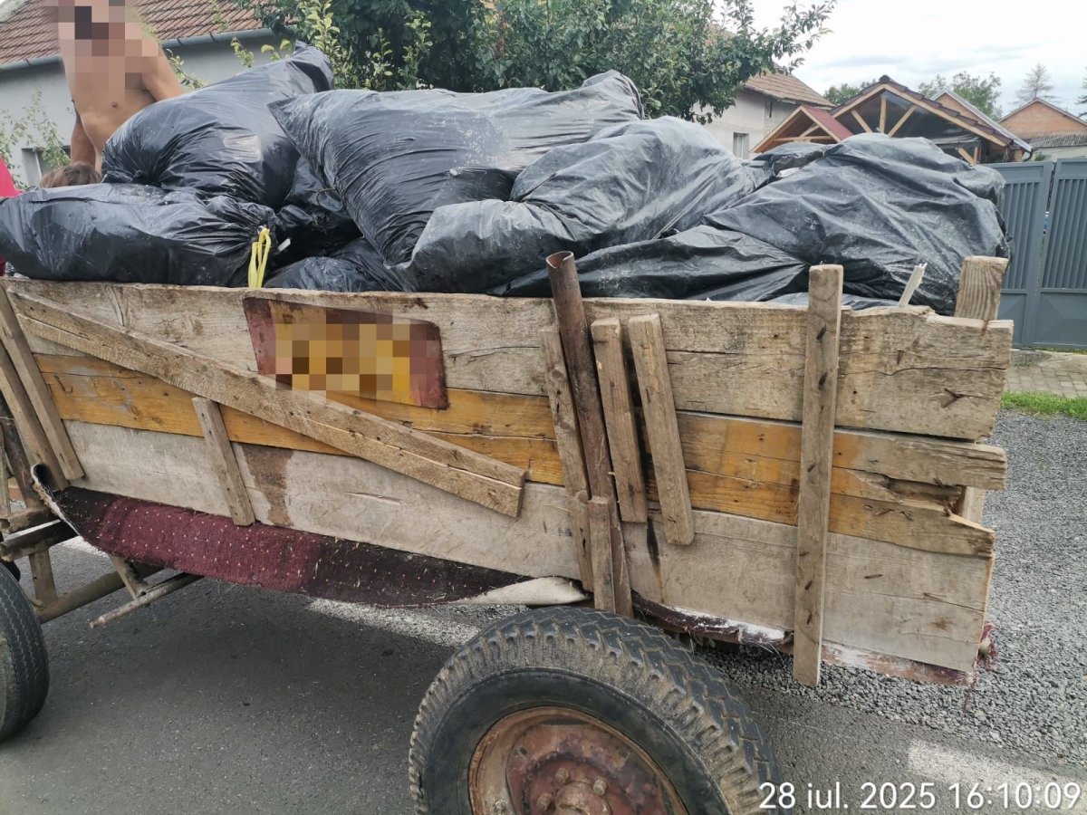 Căruță plină cu gunoaie confiscată de Poliția Locală la Curtici (FOTO)