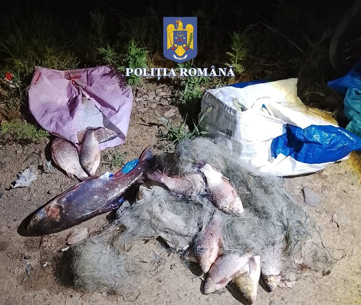 BĂNUIȚI DE BRACONAJ PISCICOL, DEPISTAȚI ÎN FLAGRANT DELICT