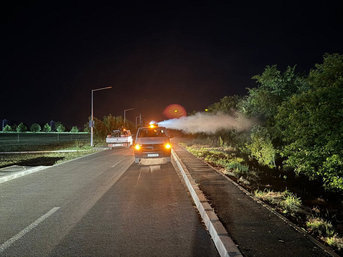 O nouă acțiune de dezinsecție în Arad, între 11 și 14 august 2025