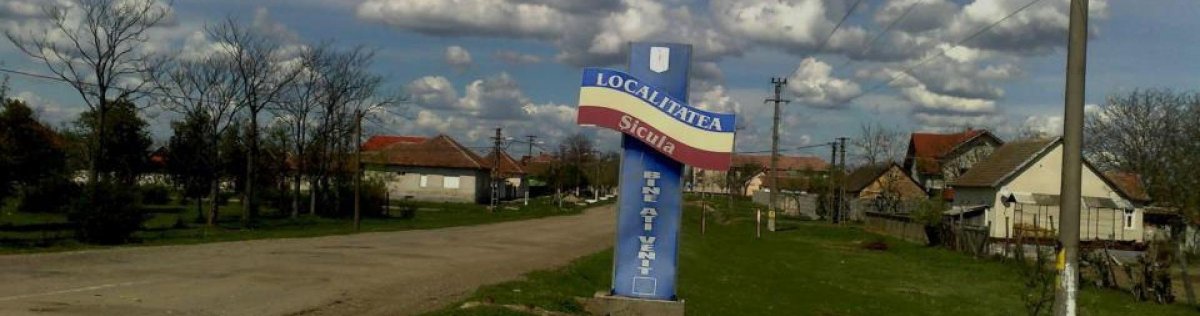 Canalizare în Șicula