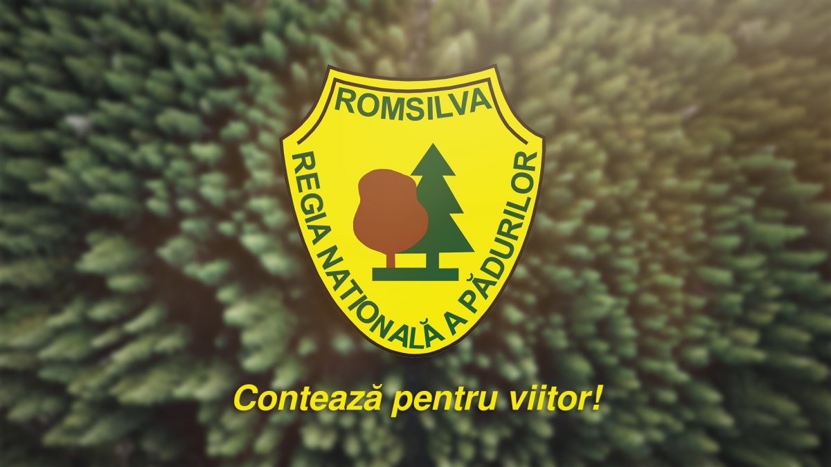 Consiliul de Administrație al Romsilva a desemnat Directorul General provizoriu