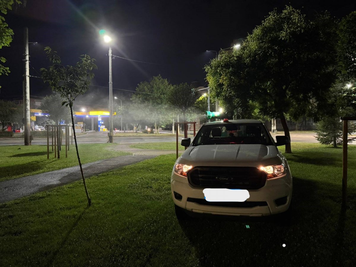 Primăria anunță prima acțiune de dezinsecție a lunii septembrie