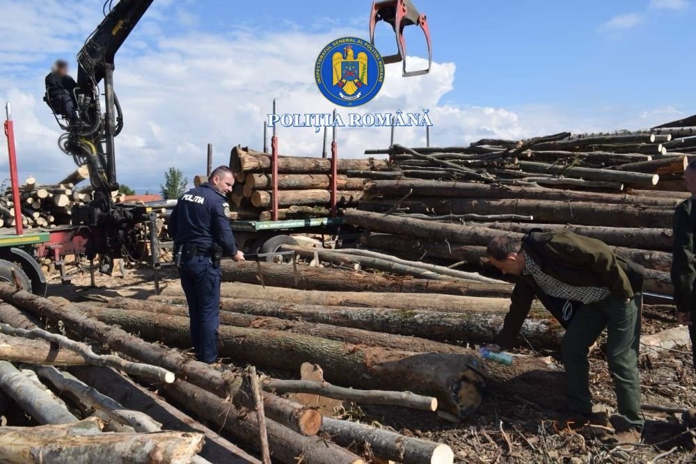 Pădurile - sub lupa Poliției și Gărzii Forestiere; peste 160 de metri cubi de lemn confiscați, un dosar penal și sancțiuni de 30.000 de lei