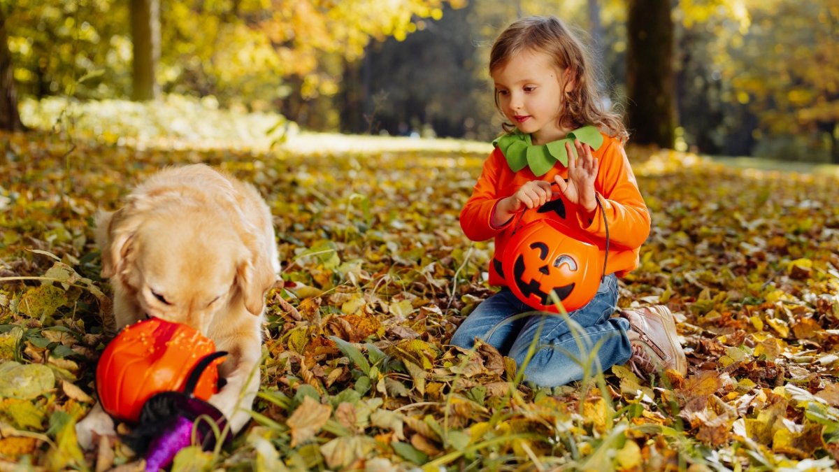 Trenduri globale de Halloween ajung în România, prin colecția Artynos