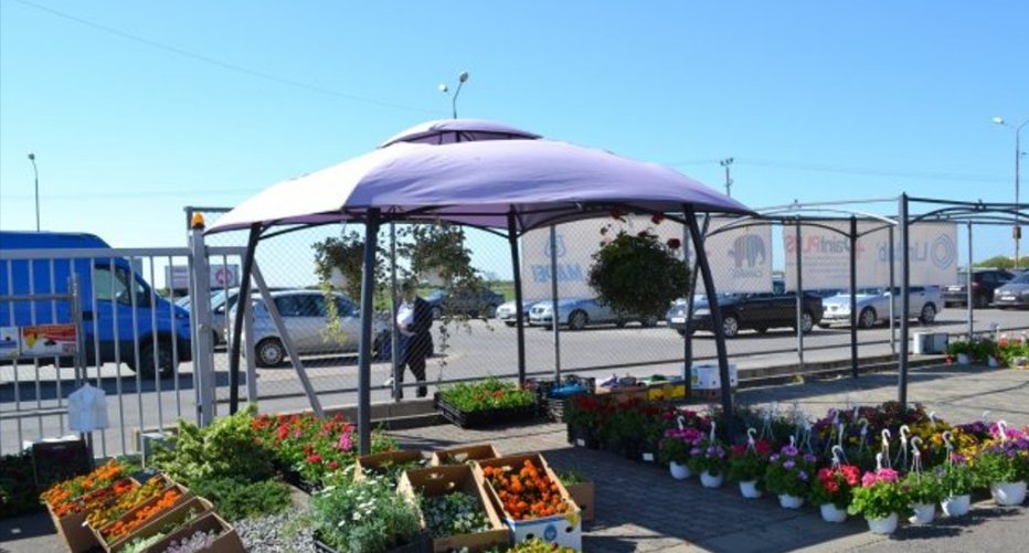 Care sunt amplasamentele pentru comerțul cu flori de Ziua Morților