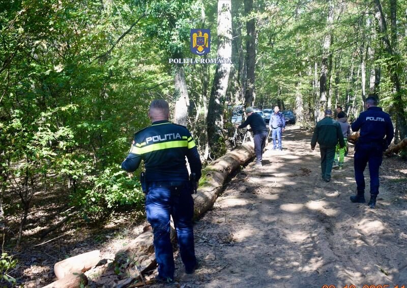 Radar pe rădăcini: 22.000 de lei în amenzi și lemn confiscat (FOTO)