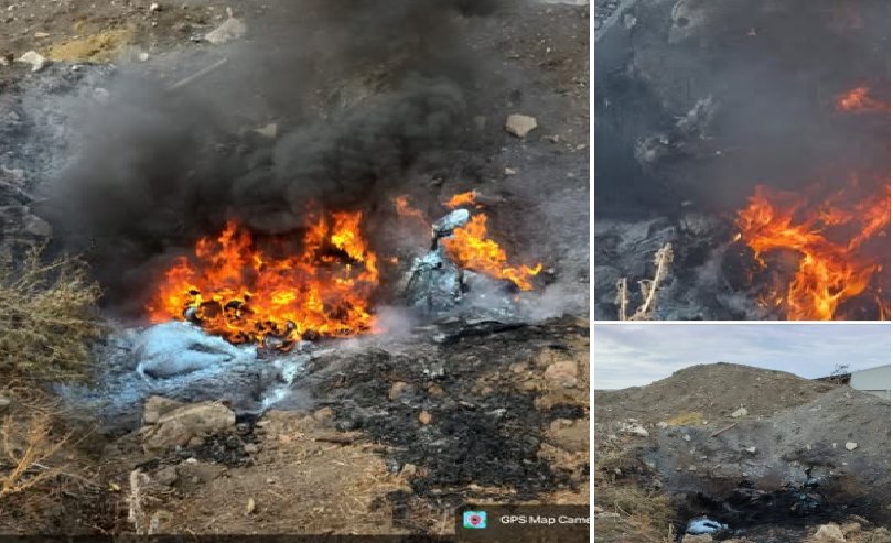 Cadavre de vaci incendiate la Olari (FOTO)