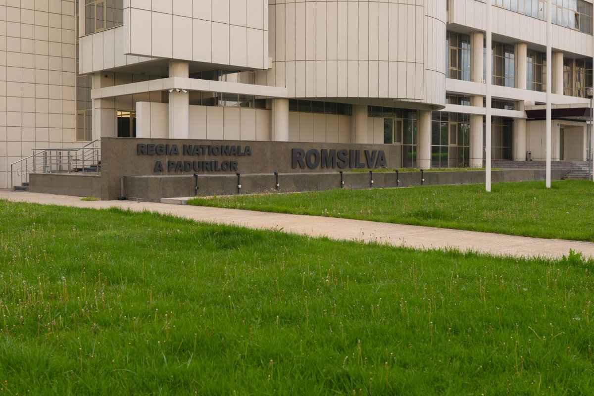 Romsilva atrage atenția asupra riscului de compromitere a jaloanelor PNRR din cauza întârzierii plăților din partea Ministerului Mediului, Apelor și Pădurilor