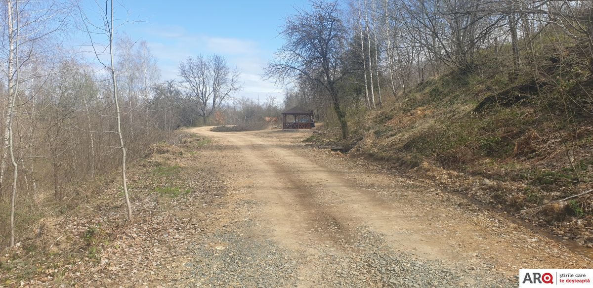 CJA valorifică masa lemnoasă rezultată din lucrările de modernizare făcute la „Drumul Regelui”