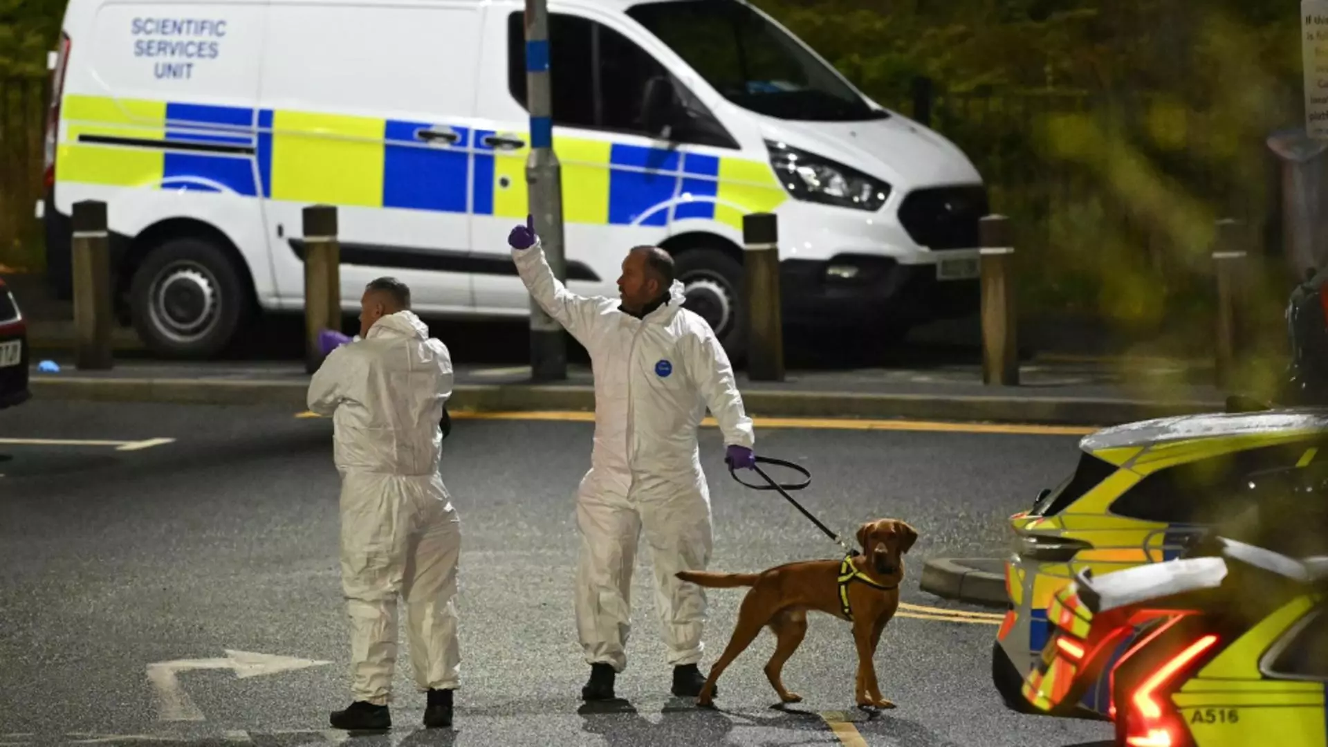 Atac sângeros într-un tren din Anglia. Nouă oameni au fost înjunghiați, doi suspecți au fost arestați. A fost activat plan de alertă antitero