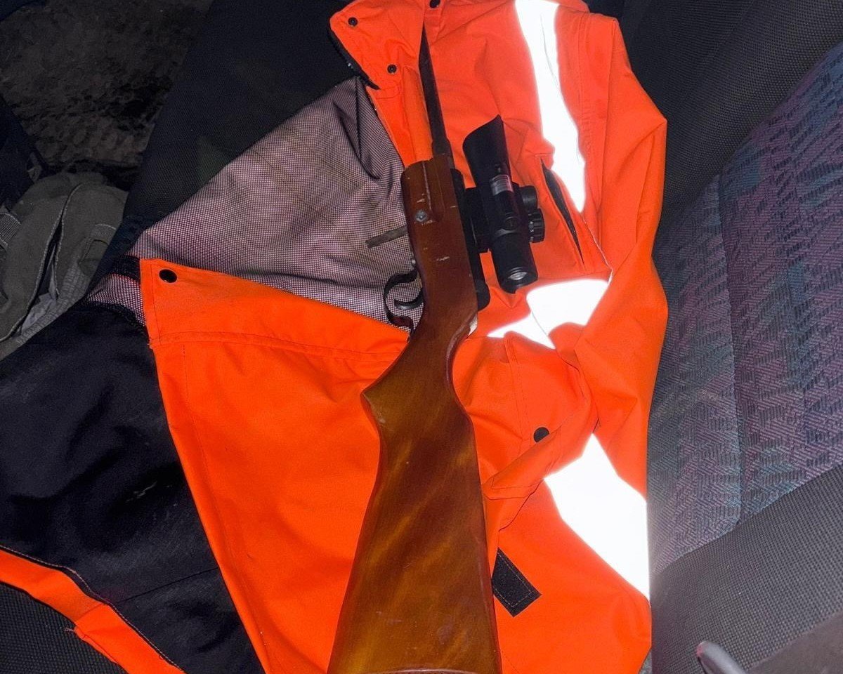 Bărbat de 65 de ani reținut: a fost prins băut, cu armă artizanală și permis anulat, în Pădurea Ceala (FOTO)