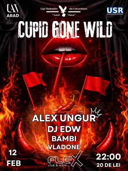 Lsuav Arad este la Club Flex Arad