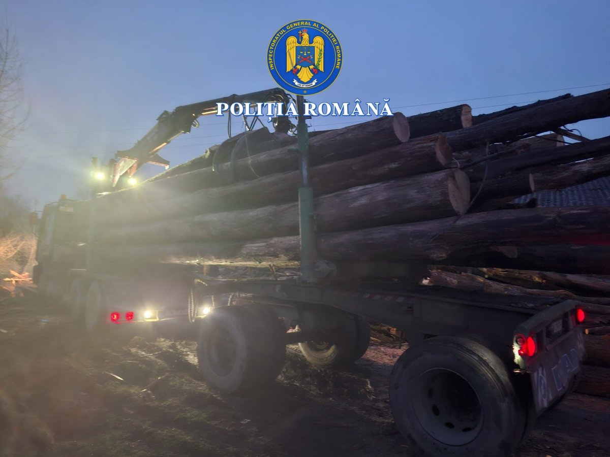 Transportul care s-a multiplicat singur în acte: lemnul fantomă bântuie DN7