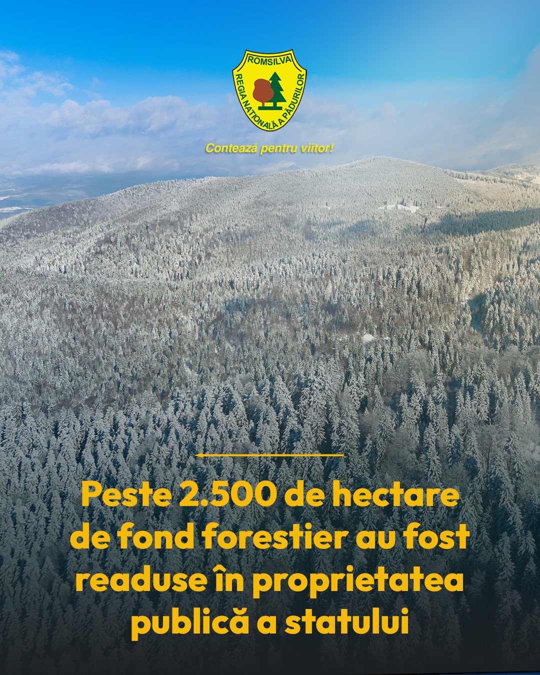 Peste 2.500 de hectare de fond forestier au fost readuse în proprietatea publică a statului, prin demersurile Romsilva și ale Ministerului Finanțelor