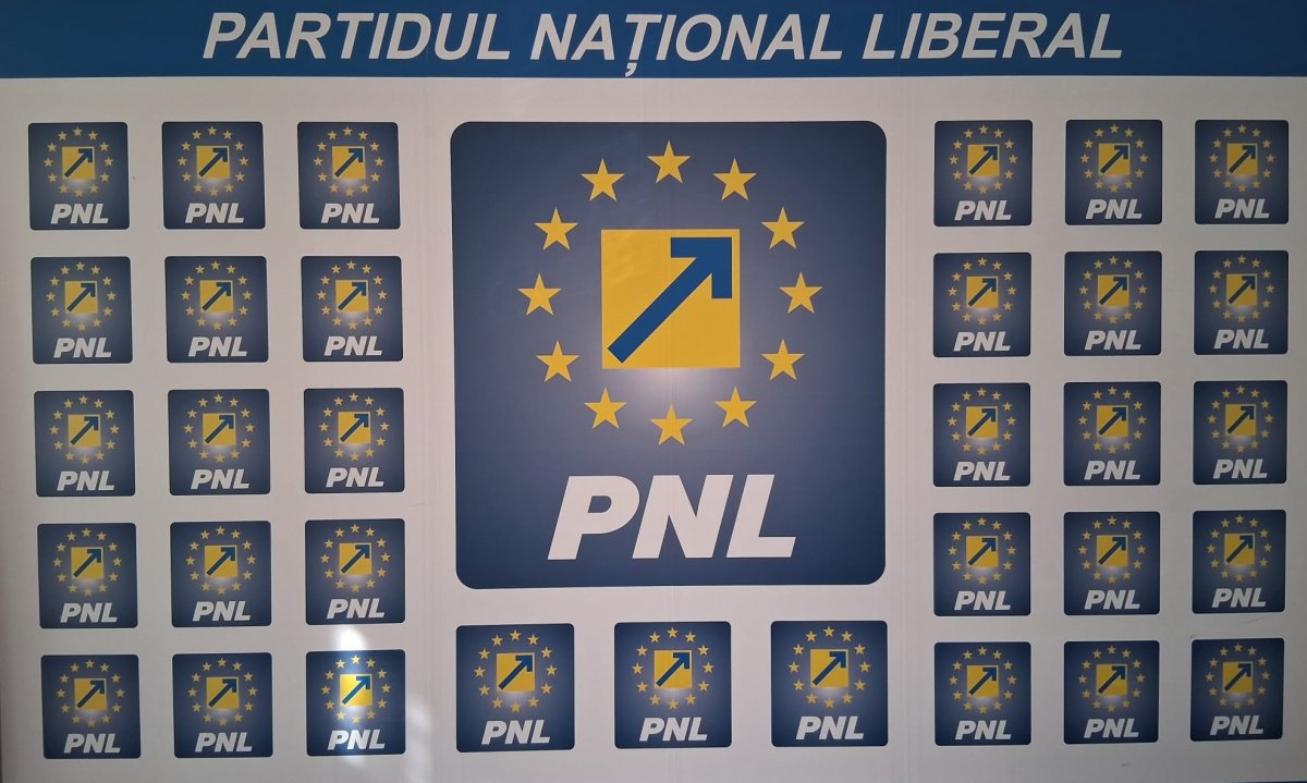 PNL acuză PSD că pune în pericol stabilitatea Coaliției în contextul tensiunilor internaționale