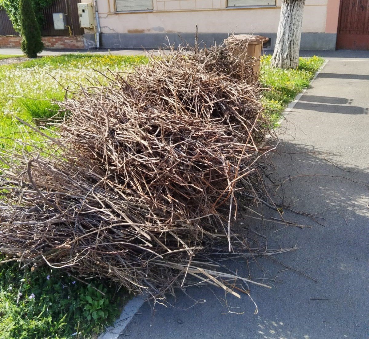  Primăria dă startul ultimei campanii „Aradul Curat”; vezi care este programul... curățeniei de primăvară