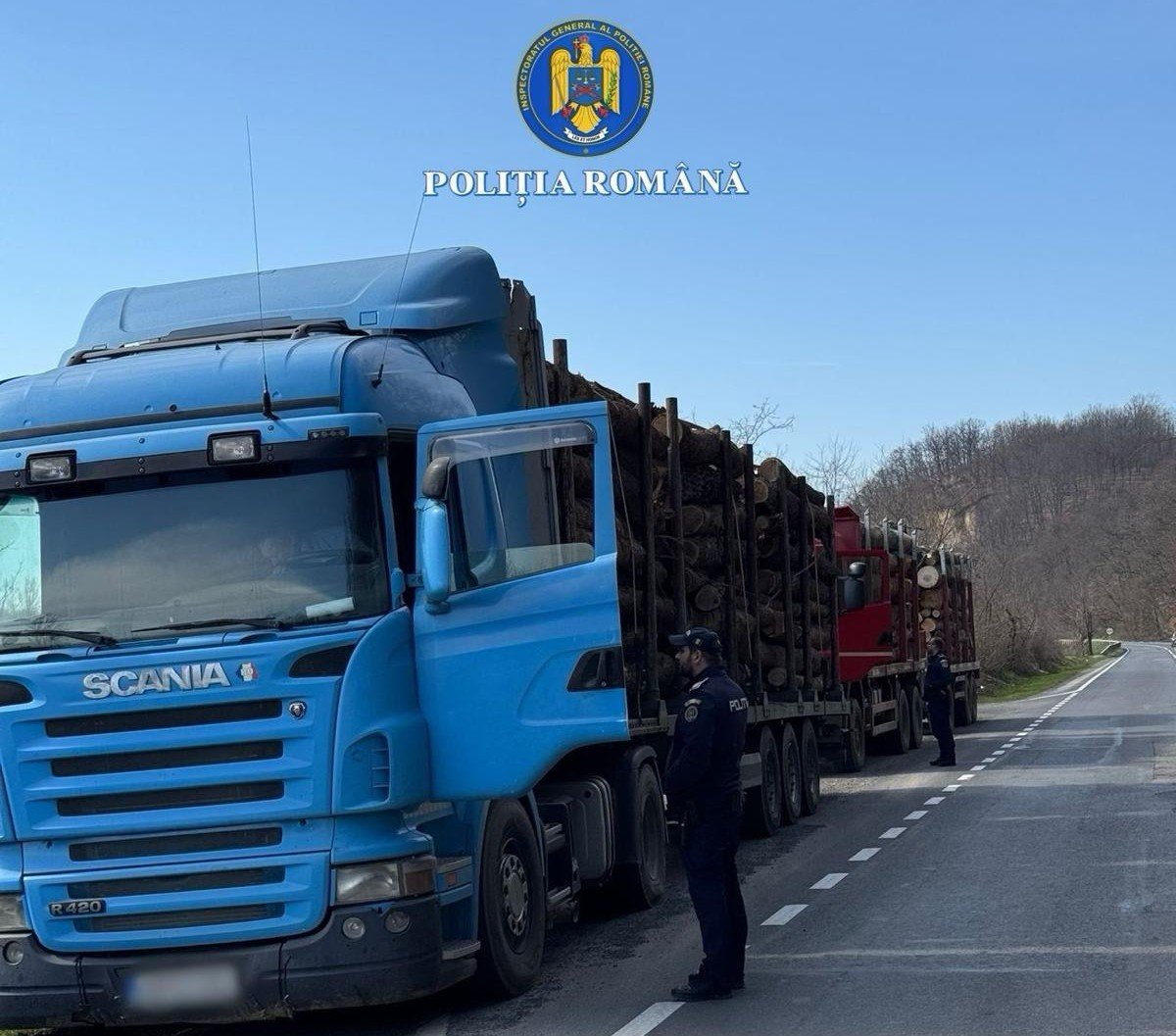 Captură pe DN7: 3,26 metri cubi de lemn confiscați, firmă amendată cu 12.000 lei