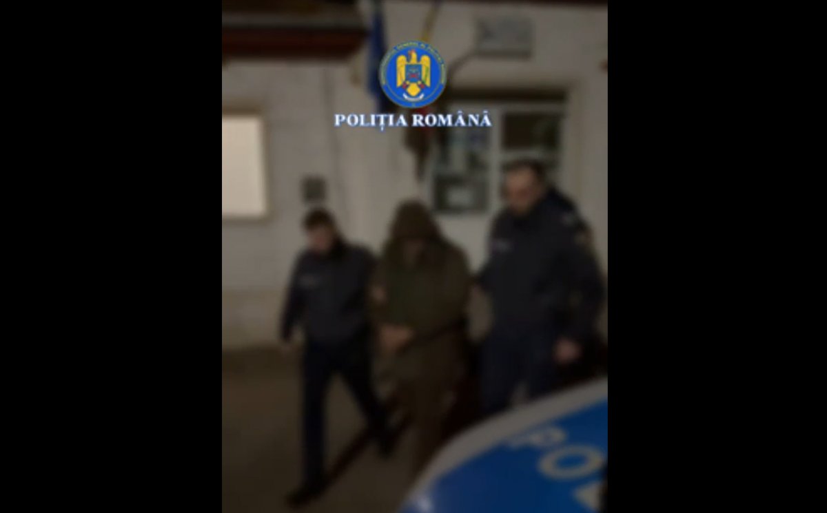 Au furat zeci de arbori cu tot cu rădăcini, să nu lase cioate în urmă, dar totuși au fost prinși