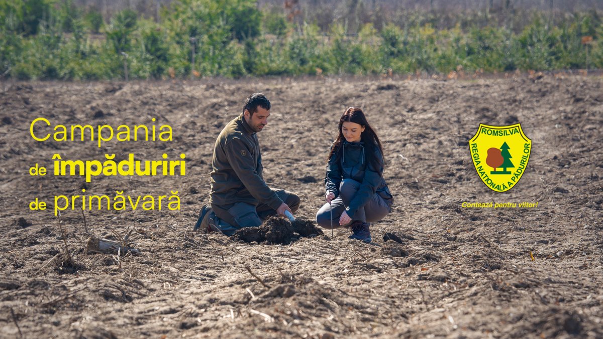 Romsilva marchează debutul Lunii Plantării Arborilor printr-o acțiune de împădurire la Direcția Silvică Dâmbovița