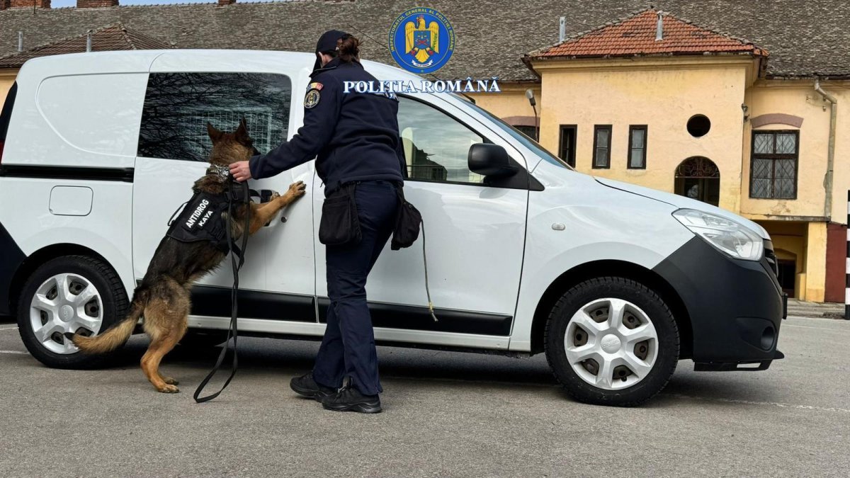 Elevii din Arad, față în față cu realitatea traficului de droguri