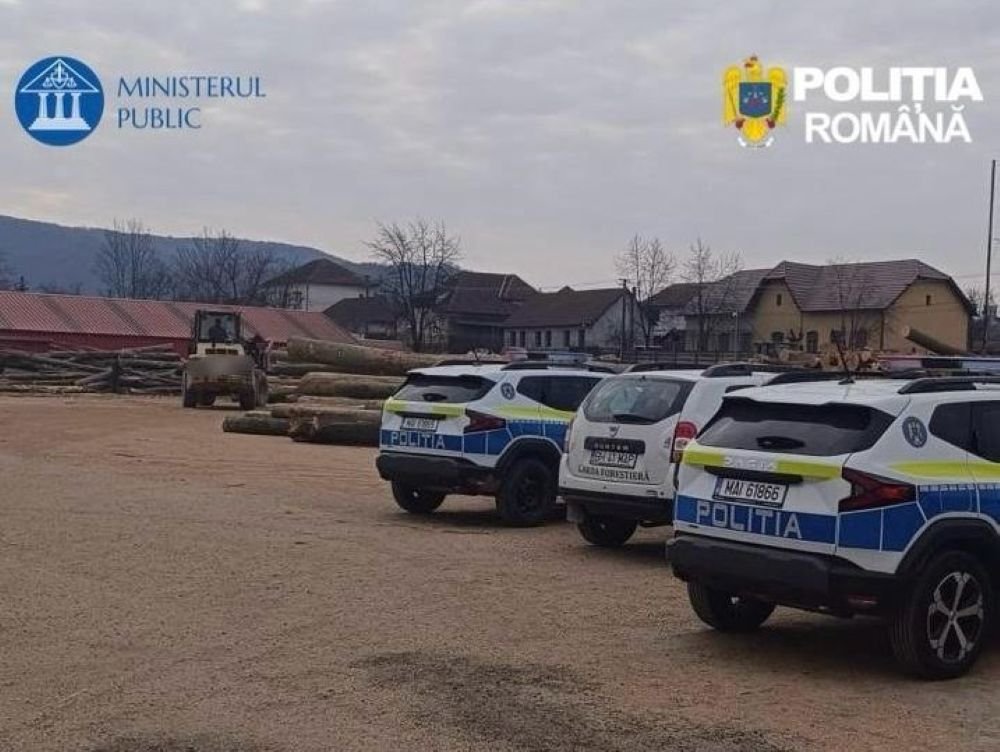 Percheziții la Gurahonț: stocuri mai mari ca în acte, lemne confiscate și anchetă penală