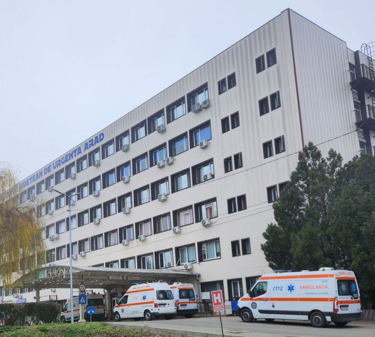 Copii de la Steaua intoxicați la President: amenzi de 47.000 aplicate de DSVSA și CJPC