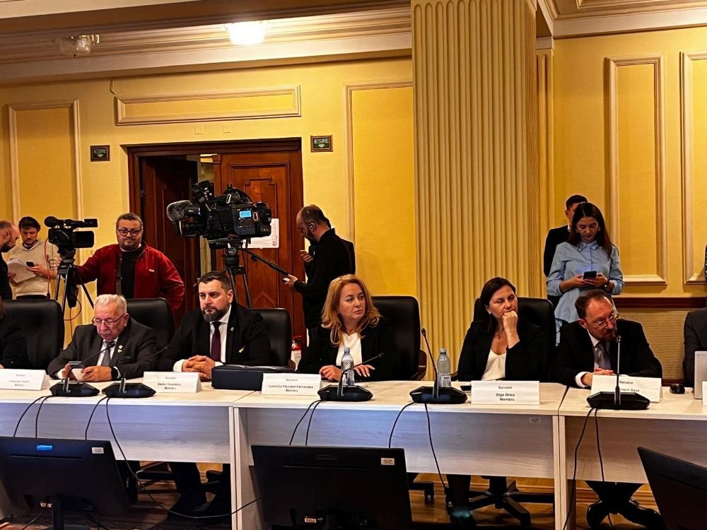 Deputatul Geanina Pistru‑Popa anunță schimbări cu privire plata concediilor medicale