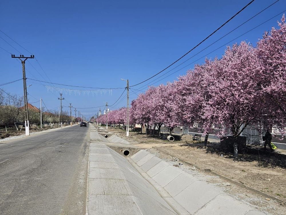 Modernizarea drumului Beliu–Cermei avansează: se pregătește ultimul strat de uzură (FOTO)