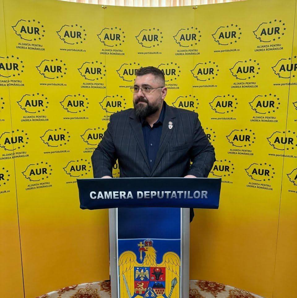 Modificări în plenul Consiliului Județean Arad