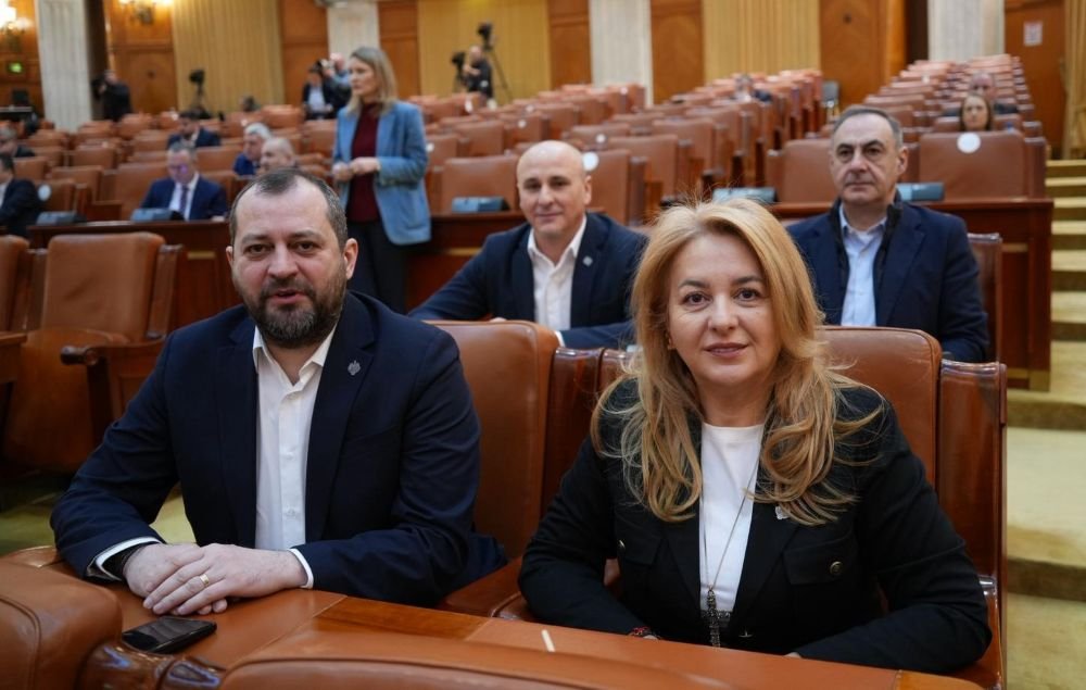 PNL Arad: PSD și AUR atacă societatea civilă printr-o lege inspirată de regimuri autocrate
