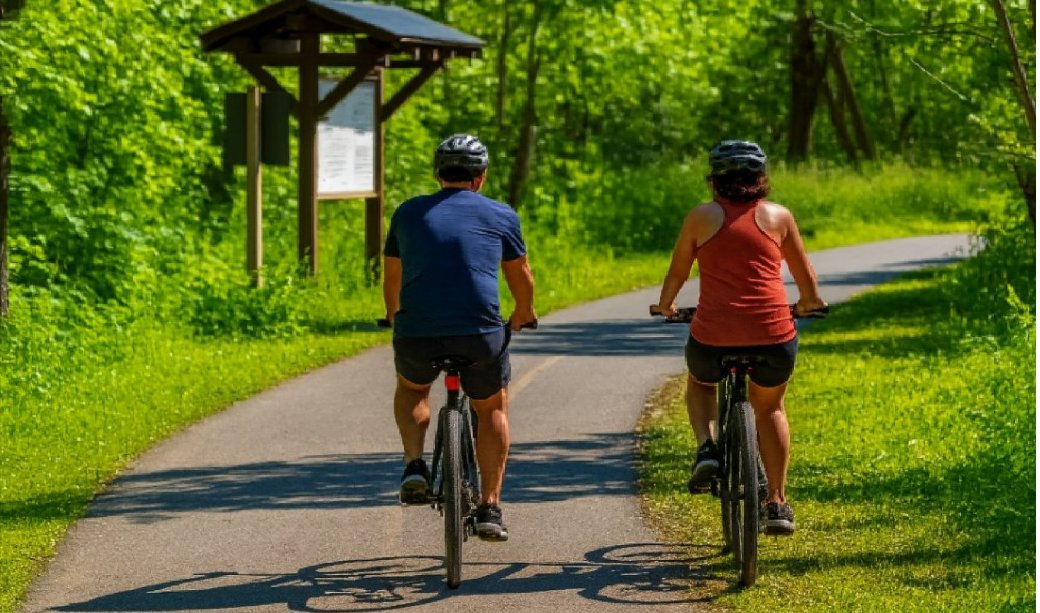 Plimbare cu bicicletele de Ziua Mediului, organizată de Parcul Natural Lunca Mureșului