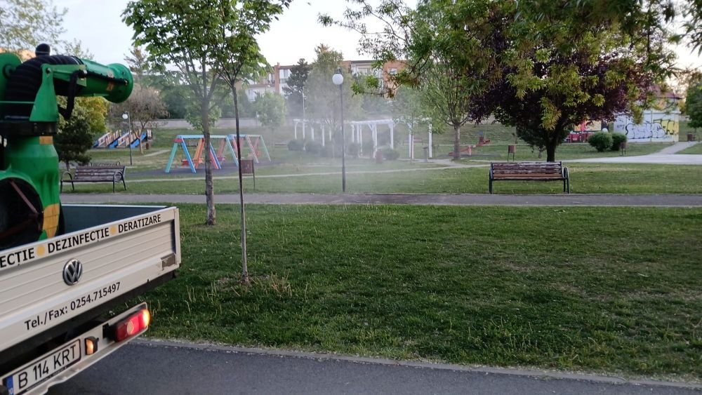 Noi tratamente de dezinsecție în municipiu; autoritățile avertizează populația și apicultorii