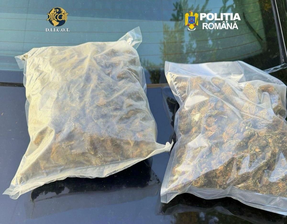 TREI BĂRBAȚI DESPITAȚI ÎN FLAGRANT DELICT ÎN TIMP CE AR FI VÂNDUT DOUĂ KILOGRAME DE CANABIS CU 6.600 DE EURO