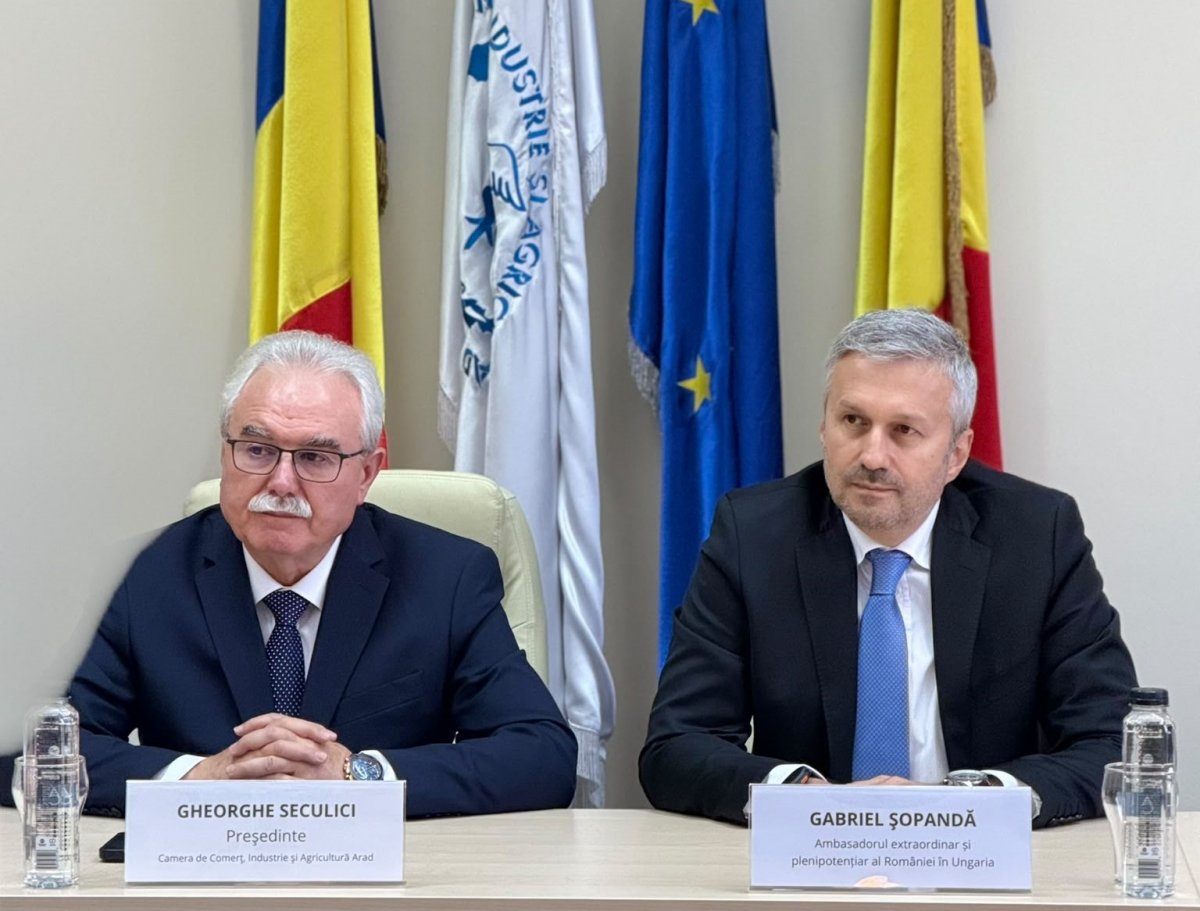 Vizita oficială a Ambasadorului României în Ungaria la Arad 