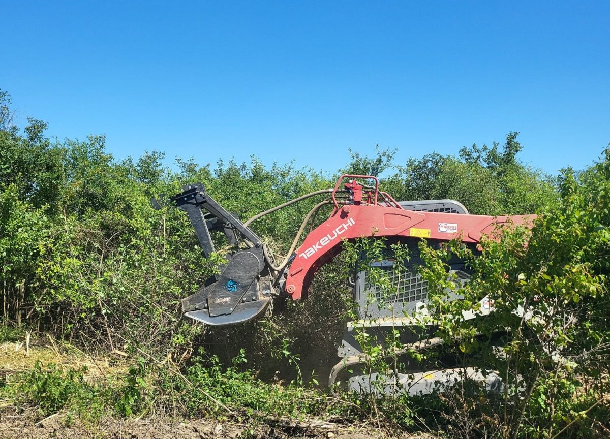 Lucrări pentru siguranța și estetica drumurilor județene: defrișări și toaletări (FOTO)