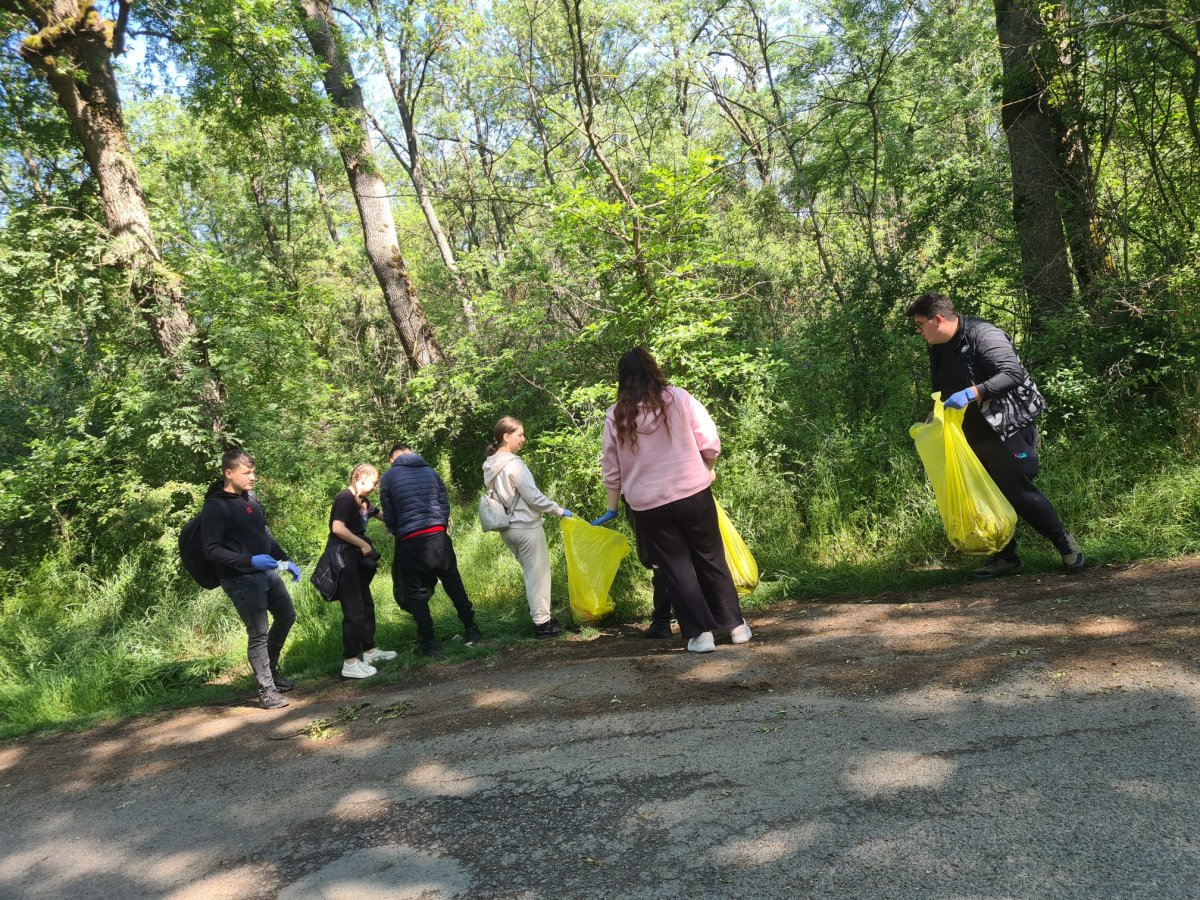 Acțiune de igienizare în Pădurea Ceala; câți saci de deșeuri au fost „recoltați” (FOTO)