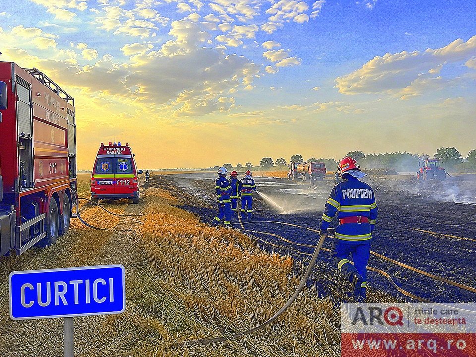  Incendiu izbucnit la un lan de grâu în localitatea Curtici