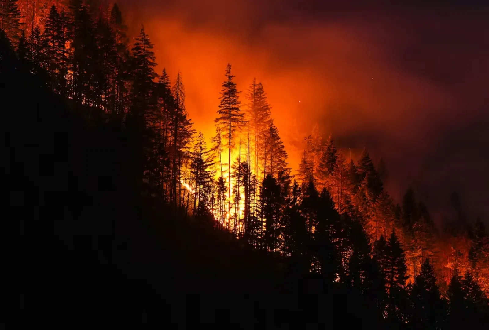 Incendii devastatoare în Spania și Franța: peste 250.000 de oameni evacuați, iar flăcările se apropie de Bordeaux