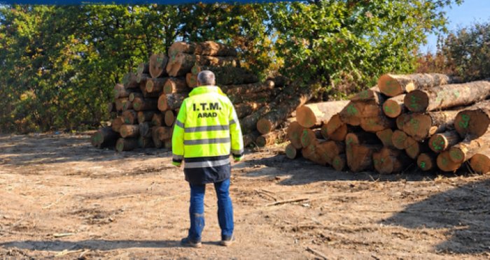 ITM intensifică verificările în parchetele forestiere, pe fondul numărului mare de accidente de muncă