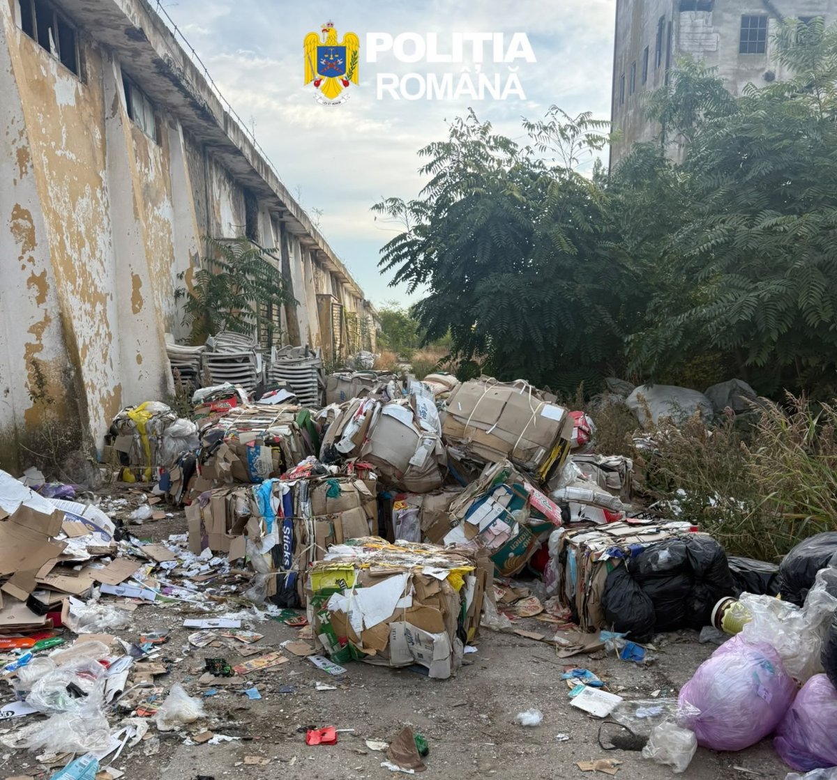 Peste 475 de tone de deșeuri descoperite în municipiu de polițiști și comisarii Gărzii de Mediu (FOTO)