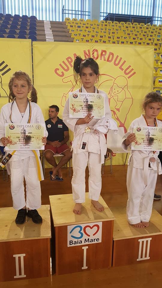 Judoka arădeni, medaliaţi la 